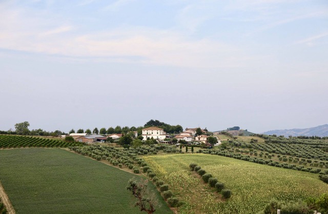 Charming farmhouse in an 18th century villa with swimming pool, offers apartments and rooms
