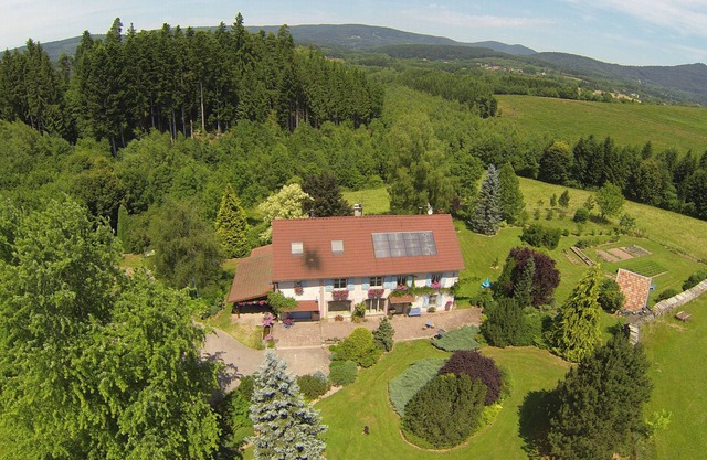 Charming gîte in an old Vosges farmhouse isolated from the village