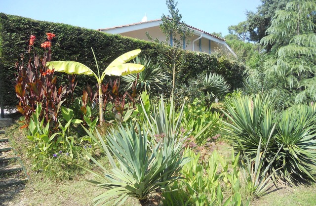 Charming house just a stone's throw from the ocean and golf course. Internet-fiber.