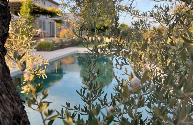 Charming lodge near Lourmarin, olive grove pool and 11kW recharging point