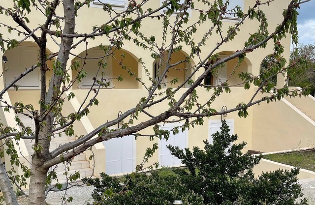 Charming new T3 apartment in private property