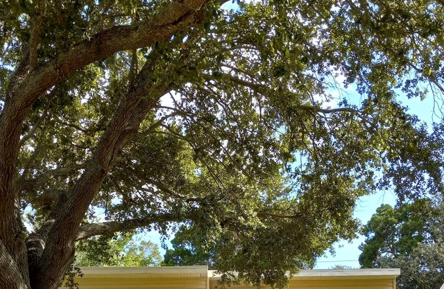 Charming single family house close to beaches, downtown, restaurants, nightlife.