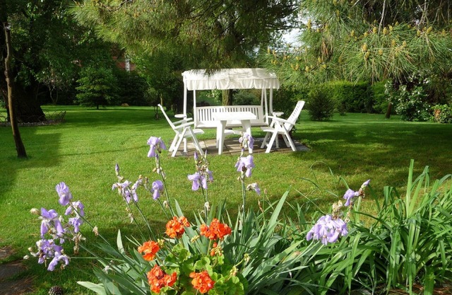 Charming small villa near Cortona,garden,olive grove.A/C.Fiber Wifi -LA COLONICA