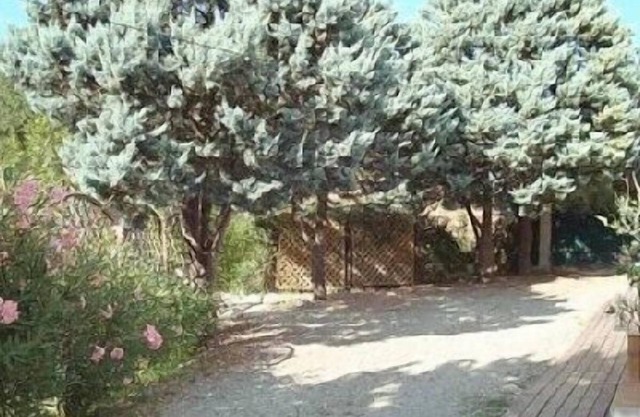 Charming studio in Corte for 2 People