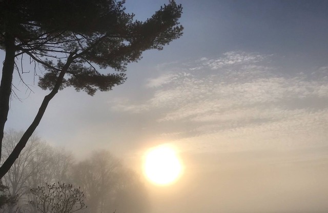 Charming tiny home-5 minutes to Great Barrington. Lovely mountain views!