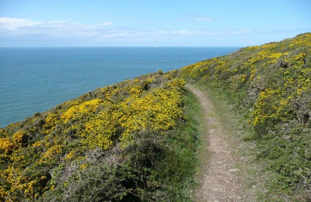 Charming Upper Solva Cottage by Beaches & Harbour
