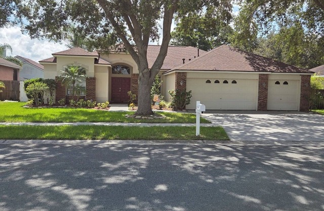 Charming Wheel-Chair Accessible 3-bedroom house in lovely Valrico