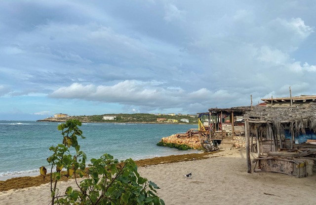 CharmingTropical beach retreat at Hellshire Beach Suite 2