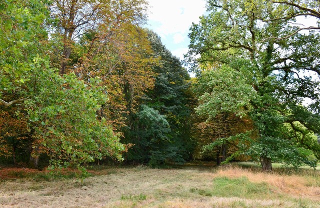 Chateau de Freschines