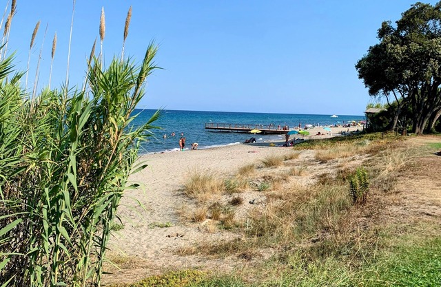 Chez Aline - F2 ground floor apartment by the sea