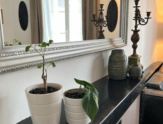 Chez La Vieille Dame