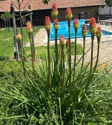 Chez le Colonel Pool House