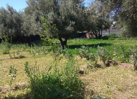 Chez Naima et Salah