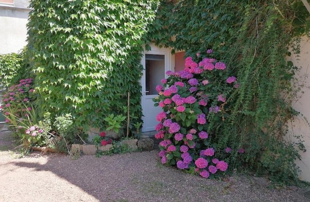 Chez Rolando Studio cosy