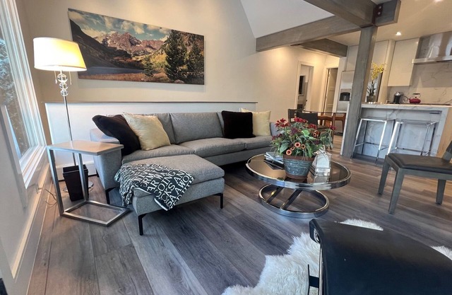 Chic new rehab near gondola, walk everywhere, fall in Aspen. Large 2BR 2 floors.