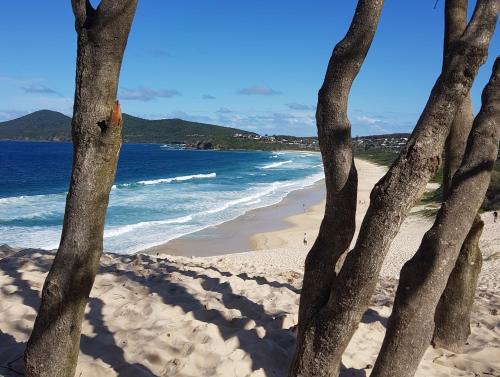 Hibiscus Court Forster Beach 