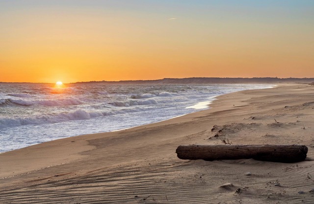 Chilmark 4-bedroom house with WiFi, AC. Private South Shore Beach + Pond, Pets.