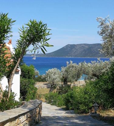 Christou Homes