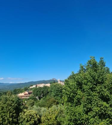 Cilento House Garden B&B MIRELLA