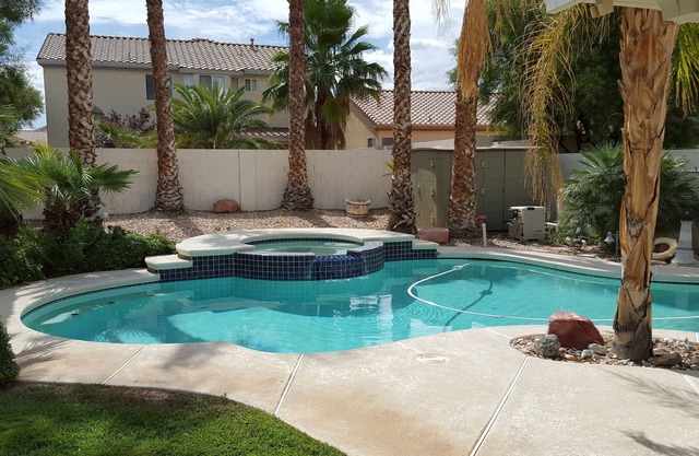 City Licensed! Palm Trees And Private Oasis With All The Comforts Of Home