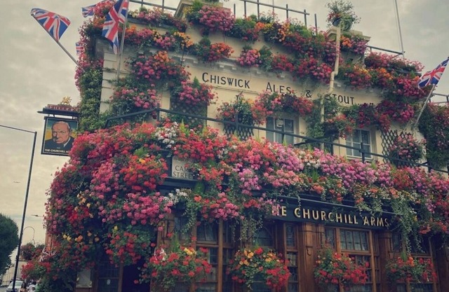 City prime apartment