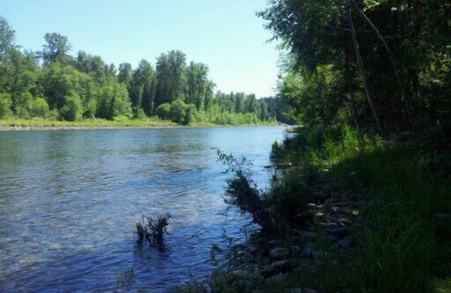 Clackamas River Front Oregon City