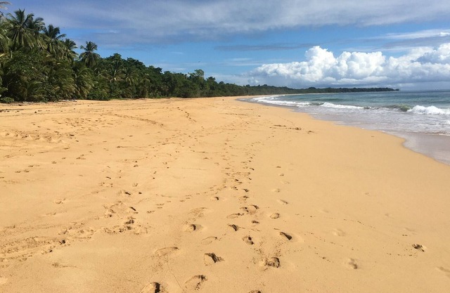 Clamping Jungle Bluff Beach Paradise - cozy tent under the monkey tree near the beach