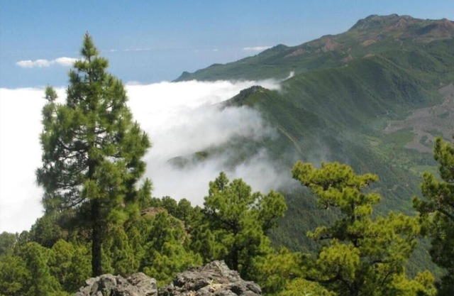 Classic Apartment In Santa Cruz De La Palma OFFER JUNE 12 TO 21