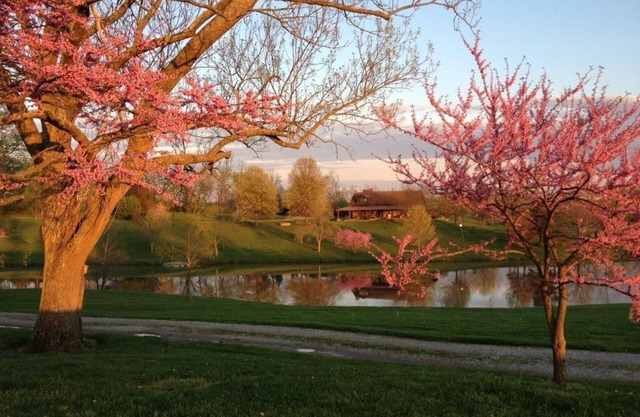 Classic Kentucky Farm: Bluegrass - Bourbon - PGA -Firepit-Horse Country-WiFi