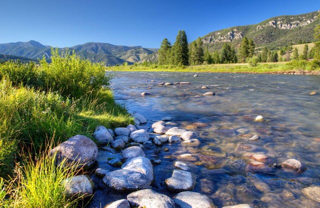 Classic Riverfront Cabin