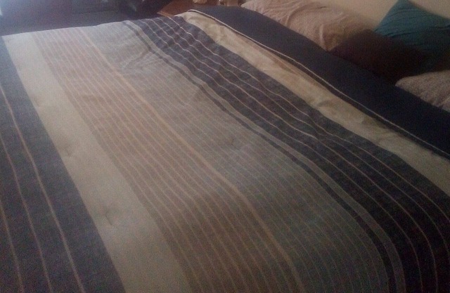 Clean and cozy one bedroom one bath apartment in Champaign Il