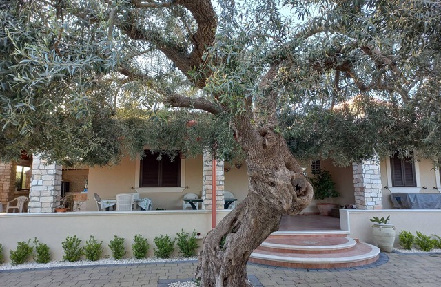 Climiti Holiday House.