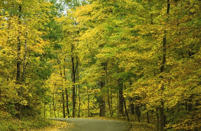 Close to downtown and museums