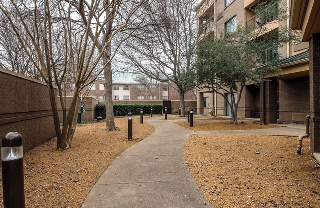 Close to George W. Bush Presidential Center! Pet-Friendly, FREE Parking, Pool!