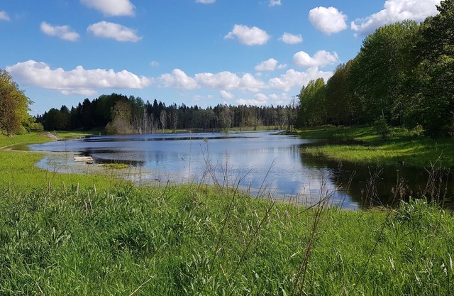 Close to nature! Only 20 min away from Stockholm!