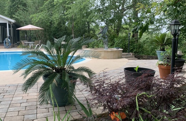 CLOSE TO THE BEACH, BEAUTIFUL ESTATE, SOUTHERN HOSPITALITY