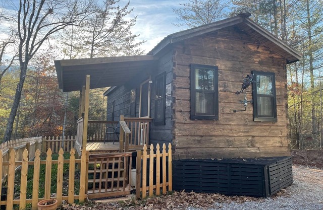 Close to town, easy to get to, internet, cell reception - Flying Pig Cabin