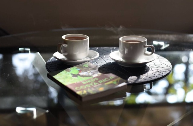 Cloud Forest Hideaway - Comfortable space with premium amenities