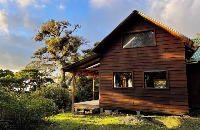 Cloud forest paradise, Monteverde Costa Rica