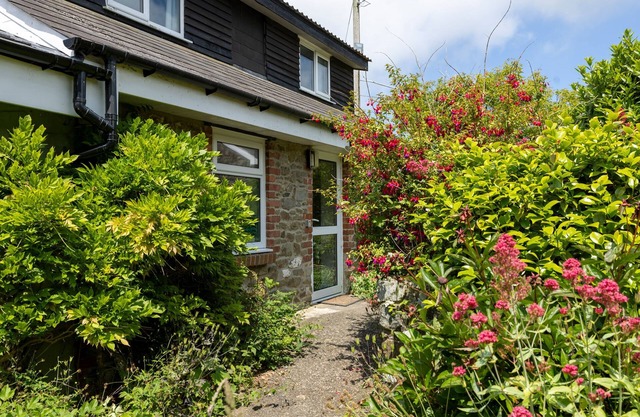 Clover at Gorslwyd - Sound Retreat