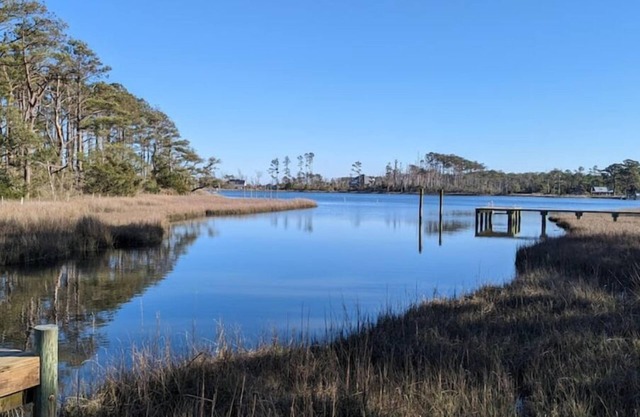 Coastal Birdsong waterfront apt