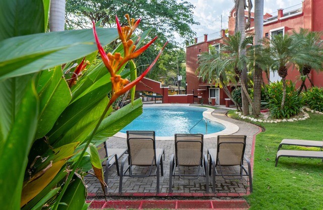 Matapalo Tamarindo 