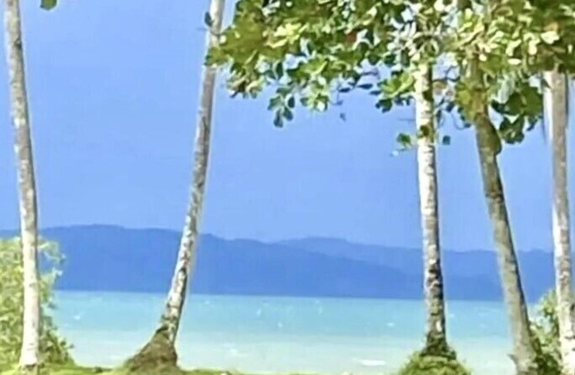 Coconut Beach House at playa Amapola Entire Cottage hosted by Kimberly -internet