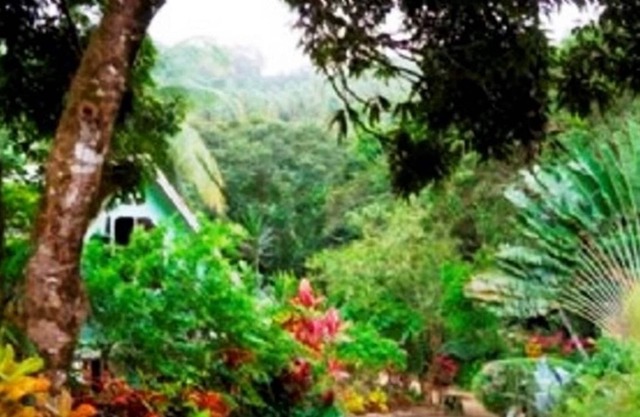 Coffeeriver Cottage, Self-Contained for Self-Catering Cottage