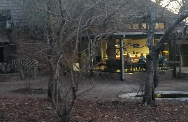 Coga Cottage - Marloth Park