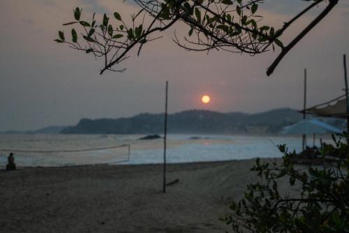 Columpio del Reptil cabaña