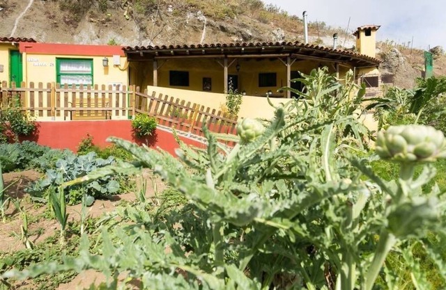 COMFORTABLE CAVE HOUSE SURROUNDED BY TRAILS, NATURE AND LANDSCAPES