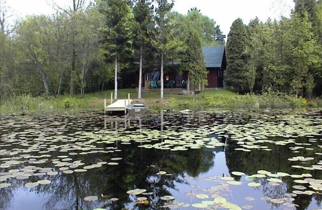 Comfort in Natural Surroundings