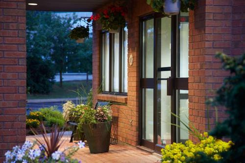 Comfort Inn Airport East