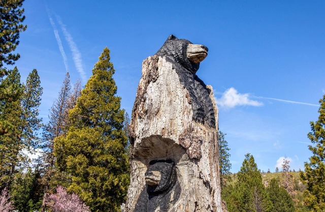 Comfort Inn Mount Shasta Area